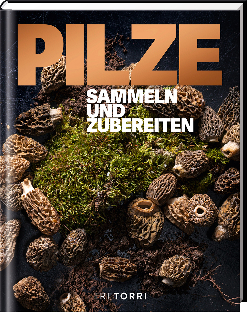 Pilze - Sammeln und Zubereiten